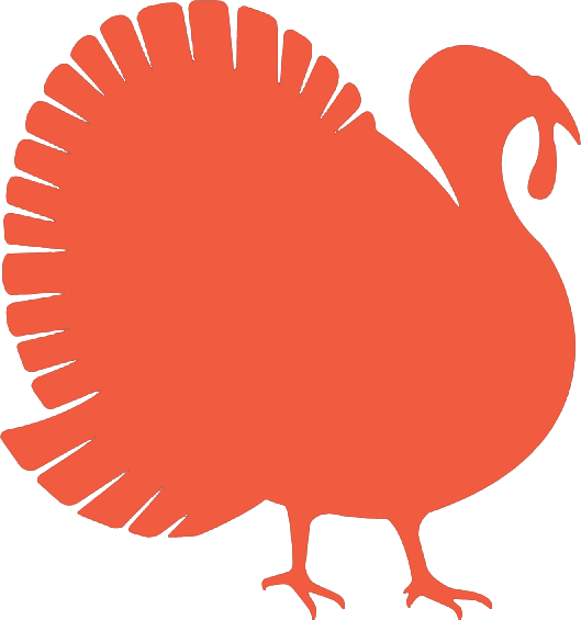 turkey icon image